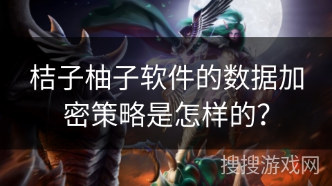 桔子柚子软件的数据加密策略是怎样的？