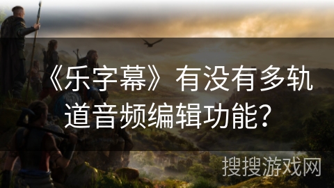《乐字幕》有没有多轨道音频编辑功能？