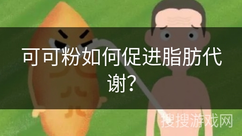 可可粉如何促进脂肪代谢？