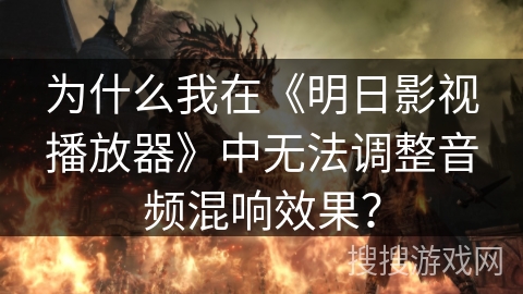 为什么我在《明日影视播放器》中无法调整音频混响效果？