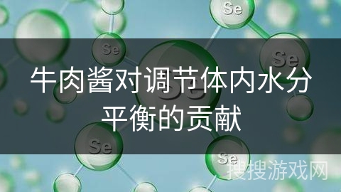 牛肉酱对调节体内水分平衡的贡献