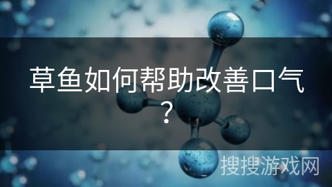 草鱼如何帮助改善口气？