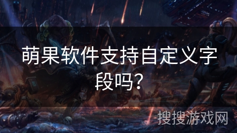 萌果软件支持自定义字段吗？