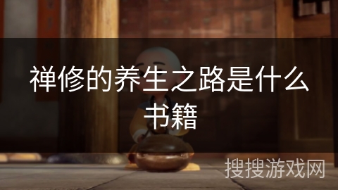 禅修的养生之路是什么书籍