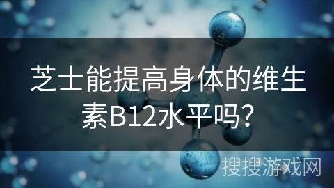 芝士能提高身体的维生素B12水平吗？