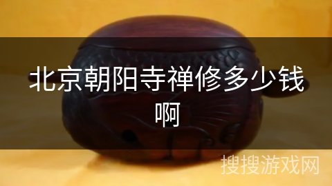 北京朝阳寺禅修多少钱啊