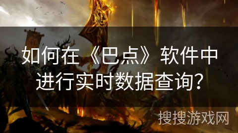 如何在《巴点》软件中进行实时数据查询？