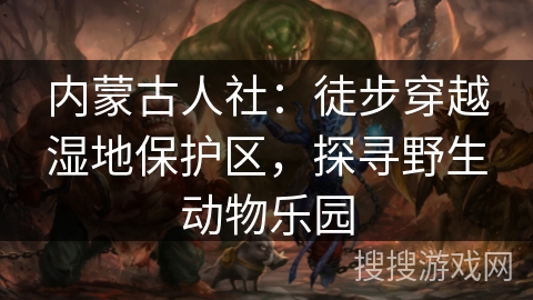 内蒙古人社：徒步穿越湿地保护区，探寻野生动物乐园