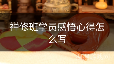 禅修班学员感悟心得怎么写