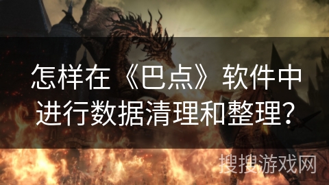 怎样在《巴点》软件中进行数据清理和整理？