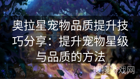 奥拉星宠物品质提升技巧分享：提升宠物星级与品质的方法