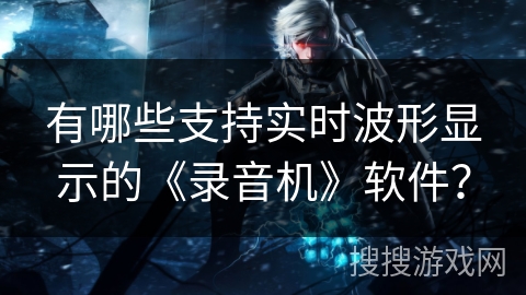 有哪些支持实时波形显示的《录音机》软件？