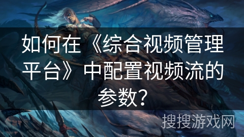 如何在《综合视频管理平台》中配置视频流的参数？