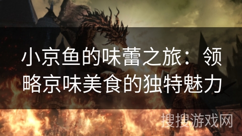 小京鱼的味蕾之旅：领略京味美食的独特魅力