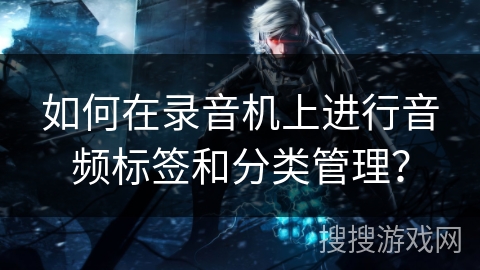 如何在录音机上进行音频标签和分类管理？