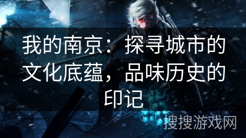 我的南京：探寻城市的文化底蕴，品味历史的印记