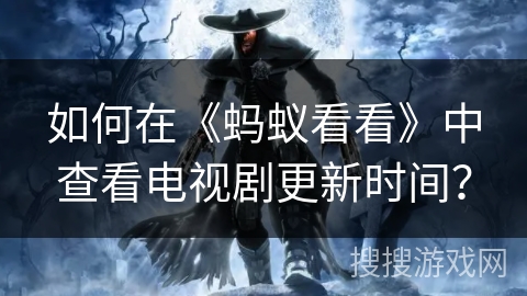 如何在《蚂蚁看看》中查看电视剧更新时间？