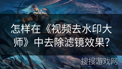怎样在《视频去水印大师》中去除滤镜效果？