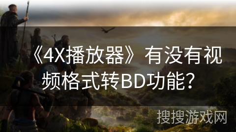 《4X播放器》有没有视频格式转BD功能？