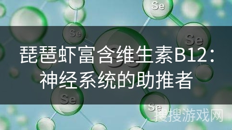 琵琶虾富含维生素B12：神经系统的助推者