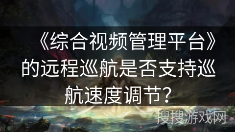 《综合视频管理平台》的远程巡航是否支持巡航速度调节？