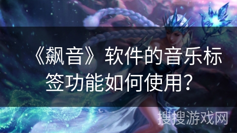 《飙音》软件的音乐标签功能如何使用？