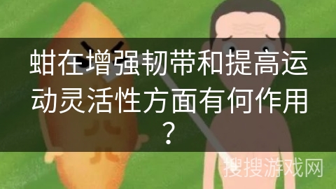 蚶在增强韧带和提高运动灵活性方面有何作用？