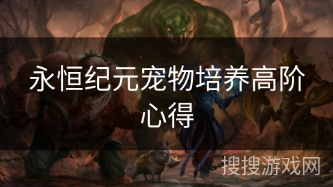 永恒纪元宠物培养高阶心得