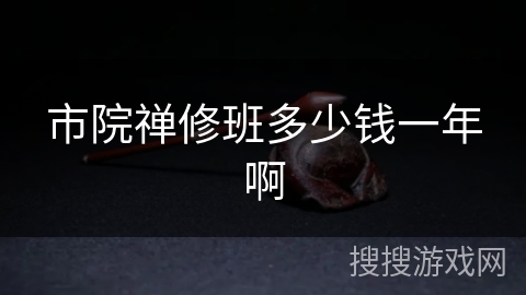 市院禅修班多少钱一年啊