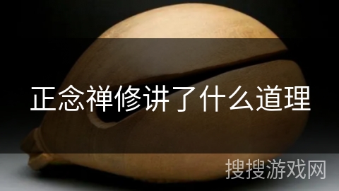 正念禅修讲了什么道理