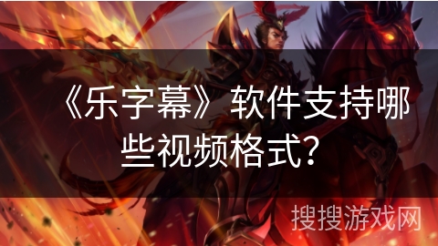《乐字幕》软件支持哪些视频格式？