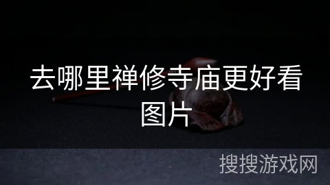 去哪里禅修寺庙更好看图片