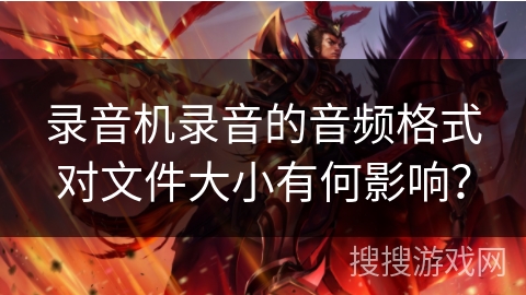 录音机录音的音频格式对文件大小有何影响？