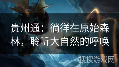 贵州通：徜徉在原始森林，聆听大自然的呼唤