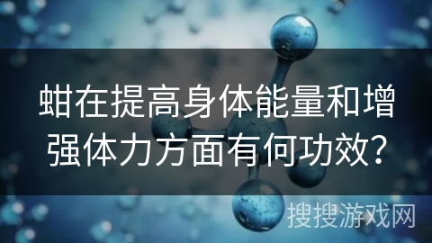 蚶在提高身体能量和增强体力方面有何功效？