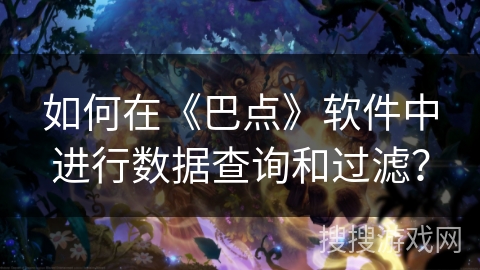 如何在《巴点》软件中进行数据查询和过滤？