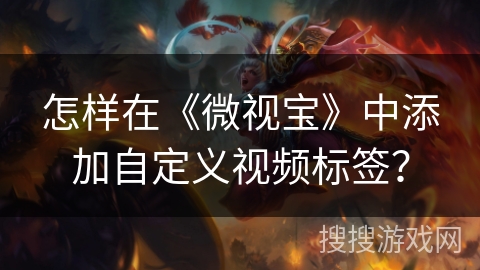 怎样在《微视宝》中添加自定义视频标签？