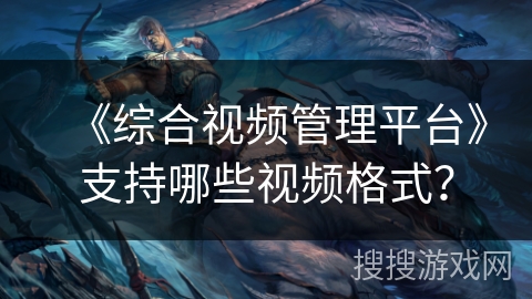 《综合视频管理平台》支持哪些视频格式？