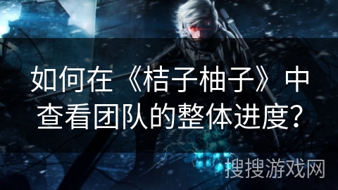 如何在《桔子柚子》中查看团队的整体进度？