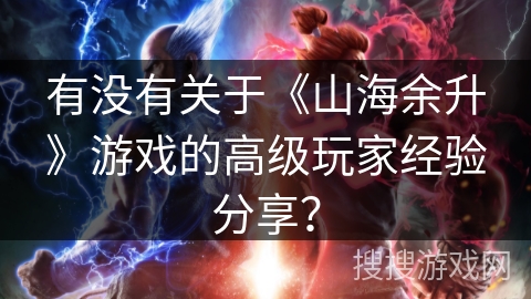 有没有关于《山海余升》游戏的高级玩家经验分享？