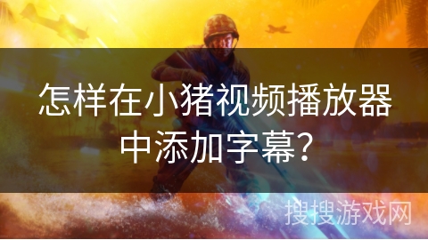 怎样在小猪视频播放器中添加字幕？