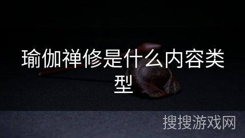 瑜伽禅修是什么内容类型