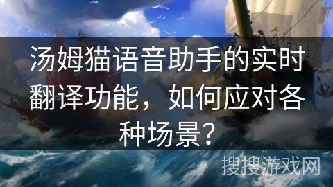 汤姆猫语音助手的实时翻译功能，如何应对各种场景？