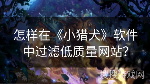 怎样在《小猎犬》软件中过滤低质量网站？