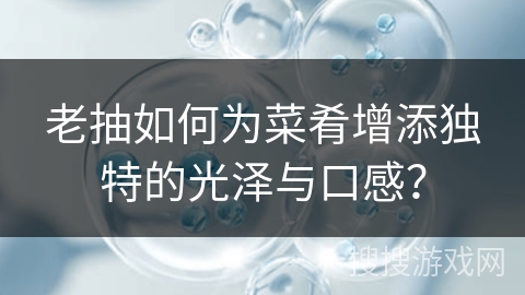 老抽如何为菜肴增添独特的光泽与口感？