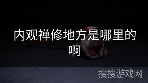 内观禅修地方是哪里的啊