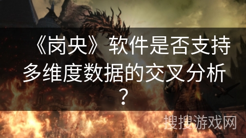 《岗央》软件是否支持多维度数据的交叉分析？