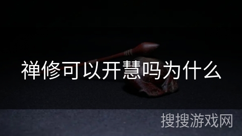 禅修可以开慧吗为什么