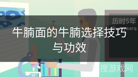 牛腩面的牛腩选择技巧与功效