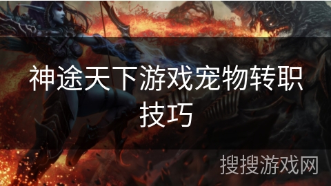 神途天下游戏宠物转职技巧